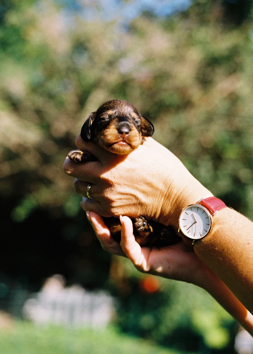 African Quarter Berlin for King Kong Garcon