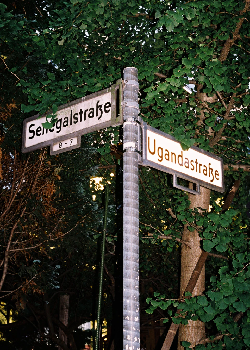 African Quarter Berlin for King Kong Garcon