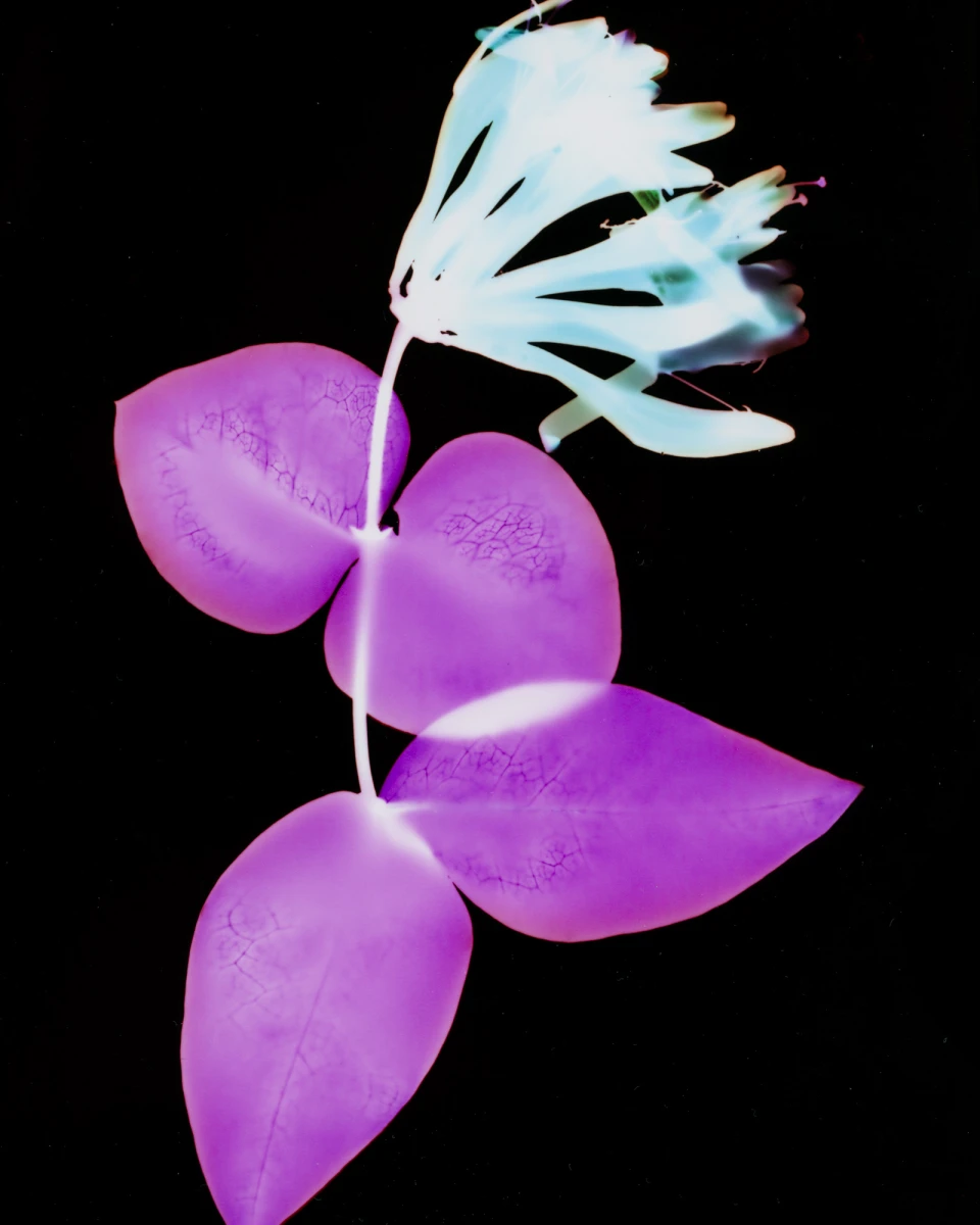 Biodiversity for Autre Magazine