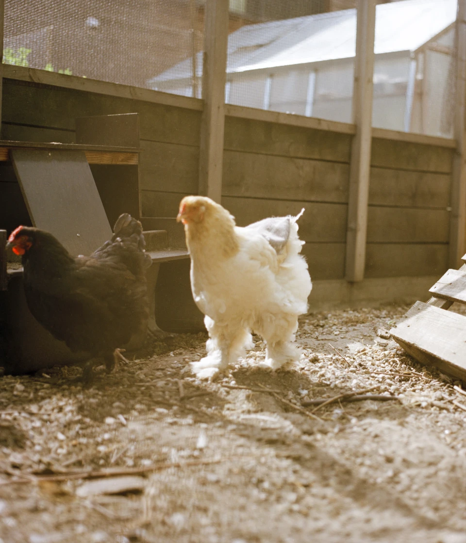 Biodiversity for Autre Magazine