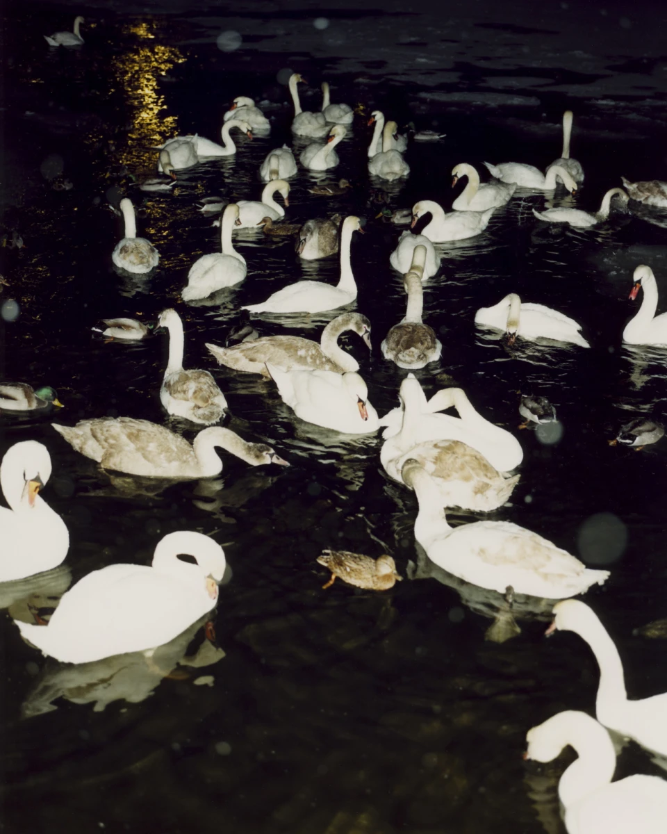 Biodiversity for Autre Magazine