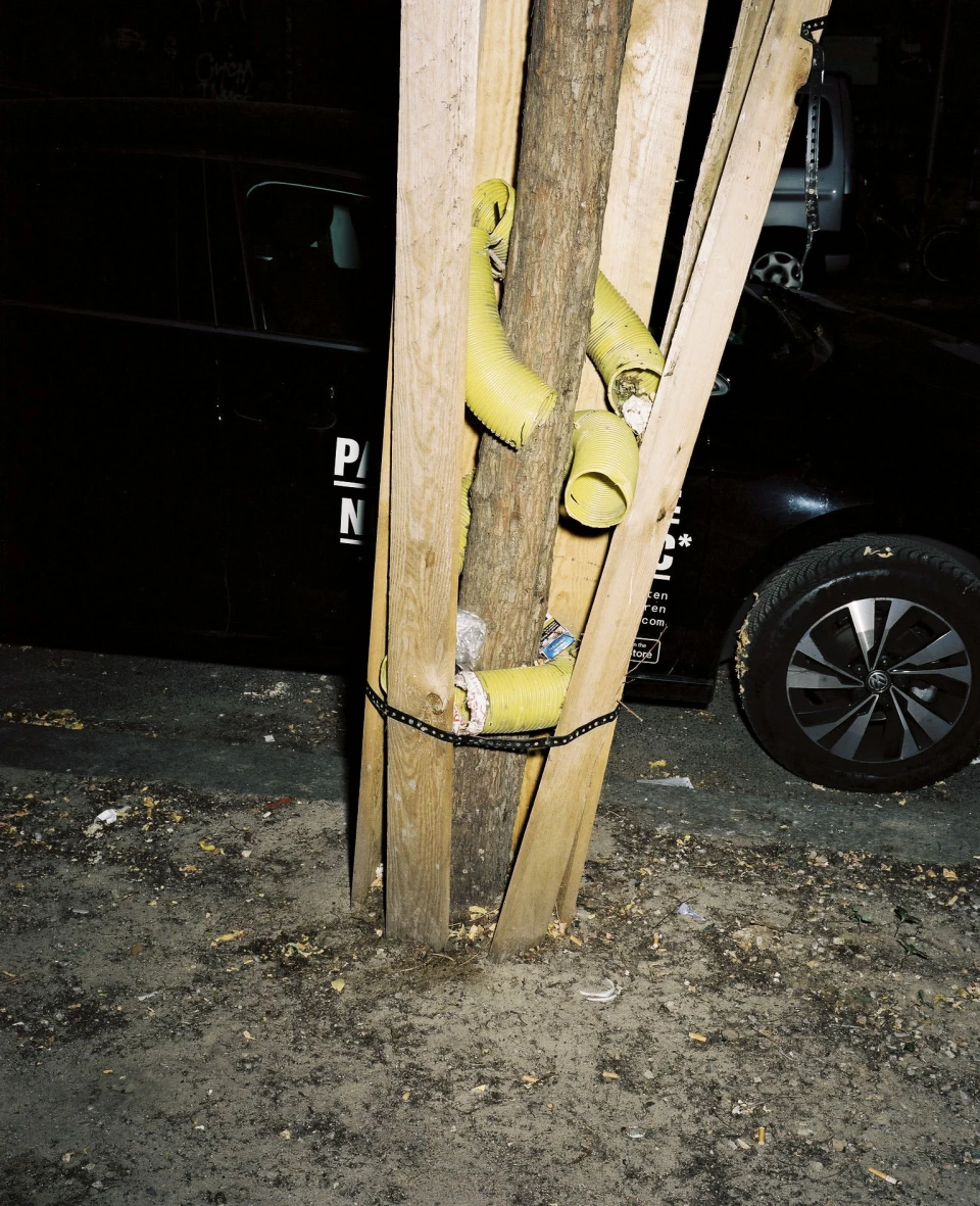 Biodiversity for Autre Magazine