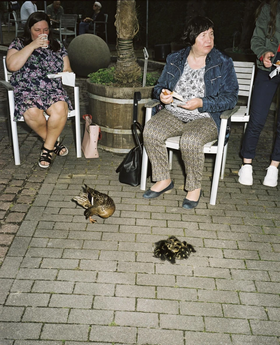 Biodiversity for Autre Magazine