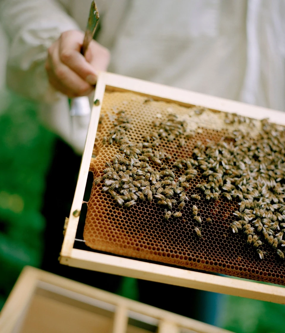 Biodiversity for Autre Magazine