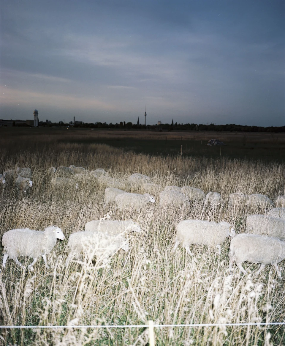 Biodiversity for Autre Magazine