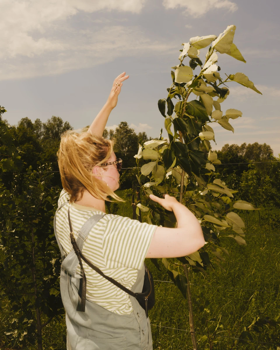 Gut & Bösel for DBmobil