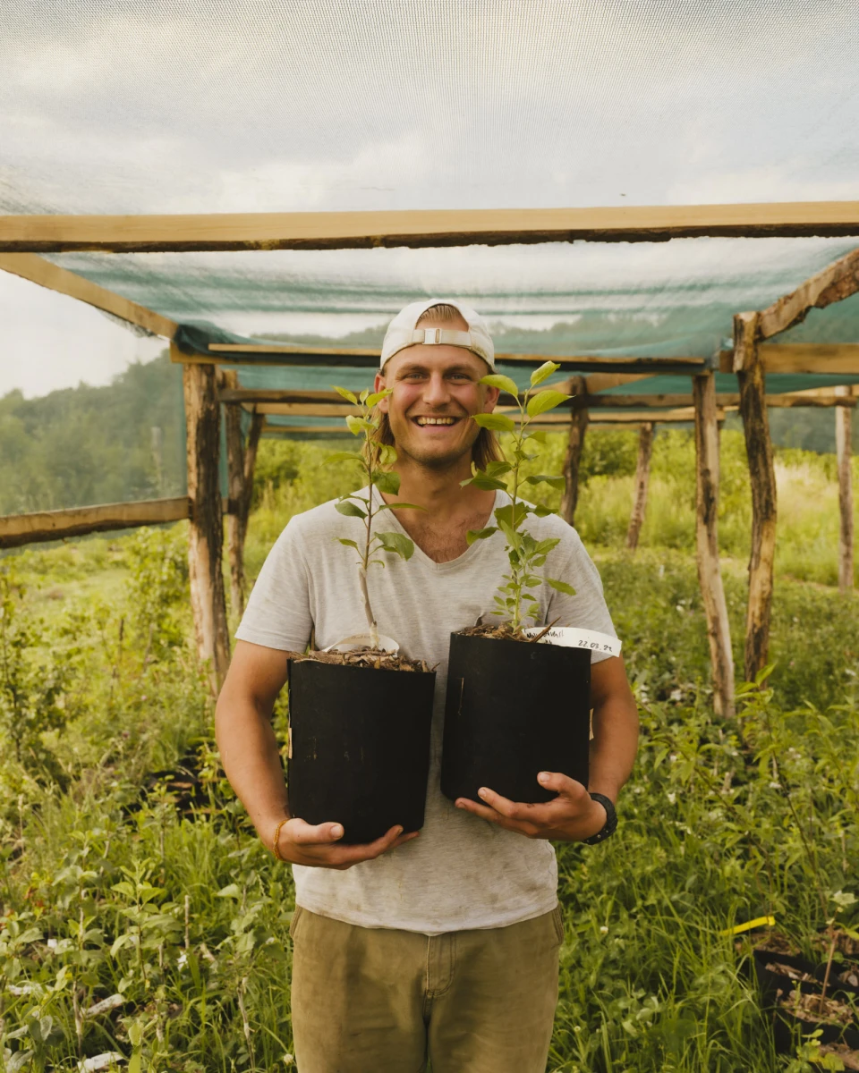 Gut & Bösel for DBmobil