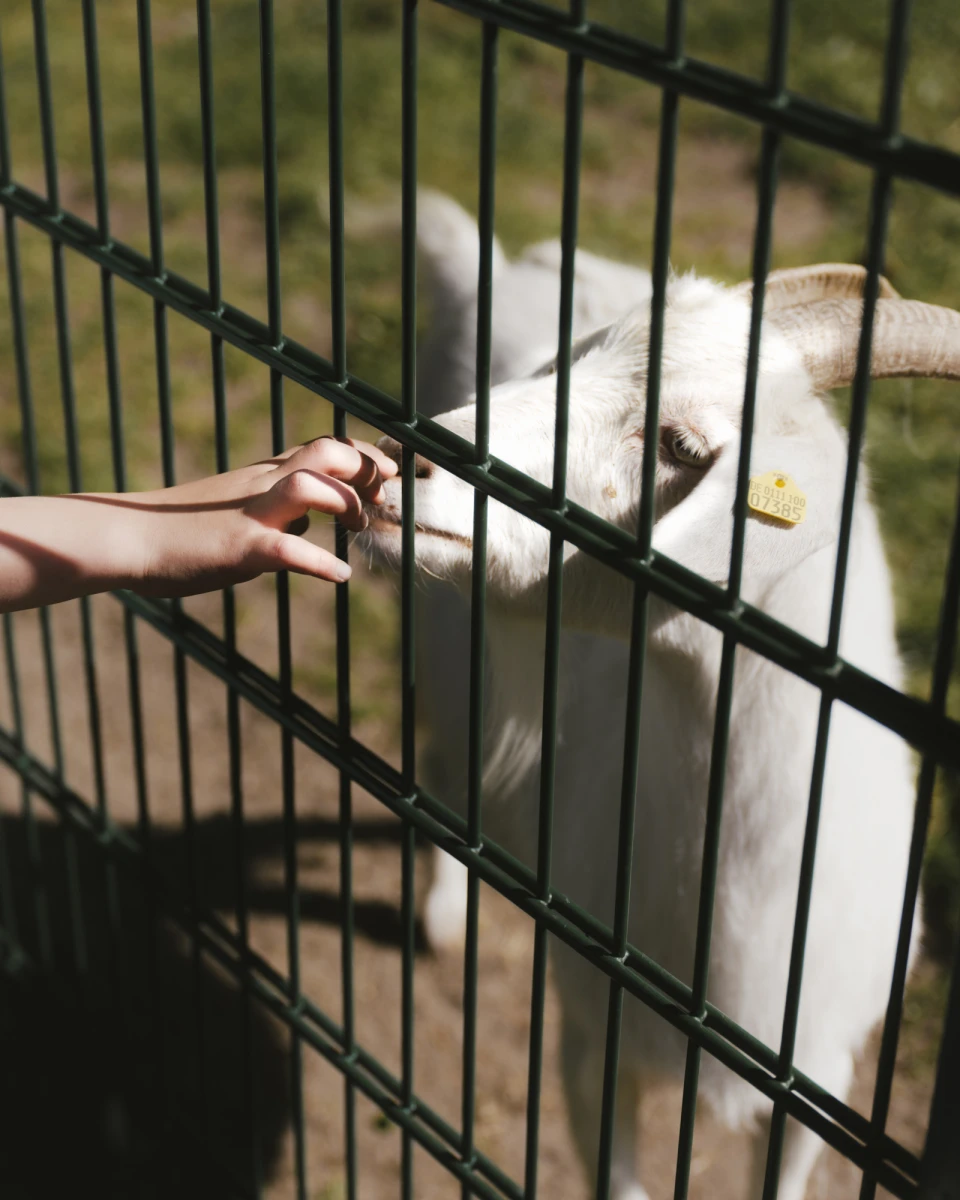 Hasenheide for Berliner Zeitung am Wochenende