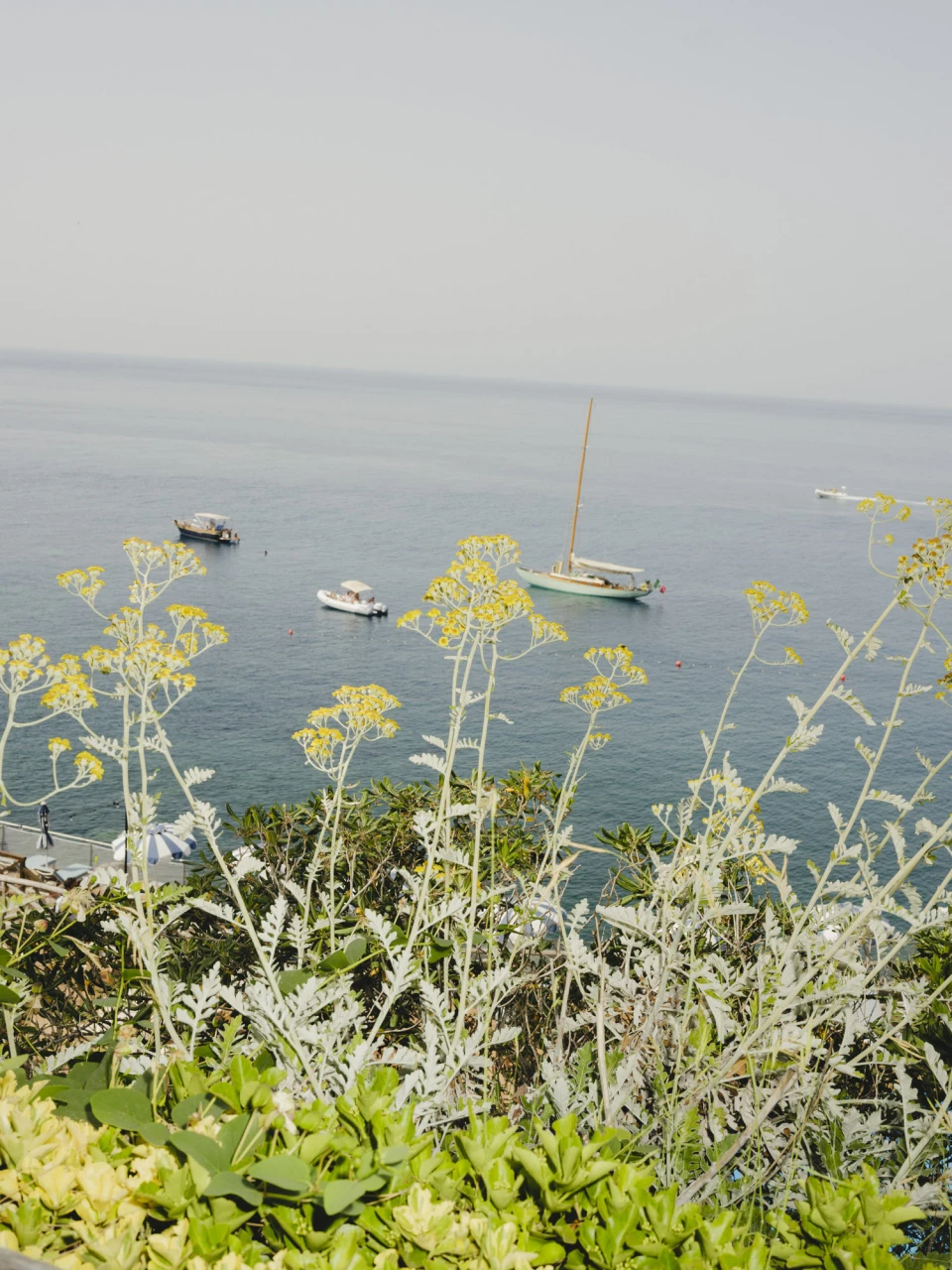 Max Mara Cruise Iscia for 10Magazine