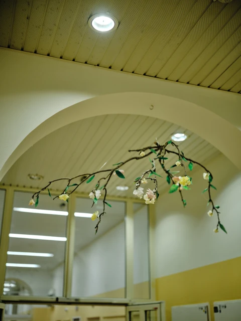 Psychiatric Ward for Psychiatrie Heute