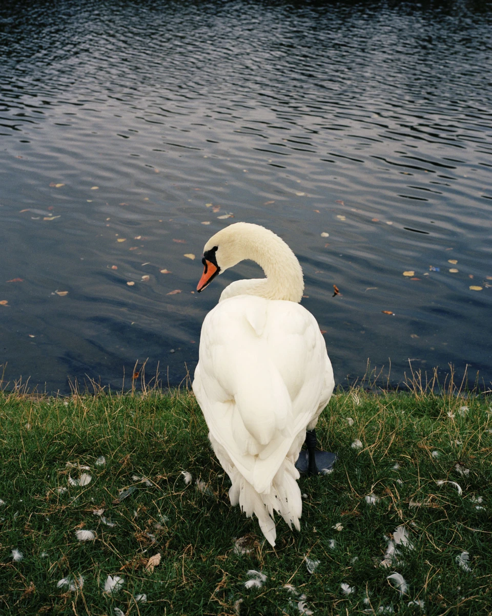 Hommage to Kreuzberg for HIEN LE