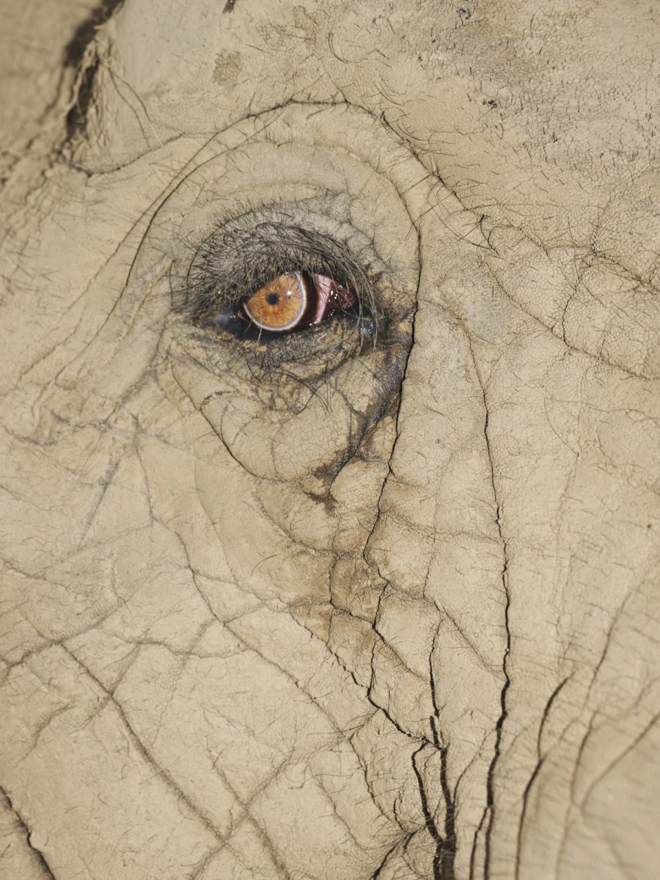 Various Portraits 2019 - 2025